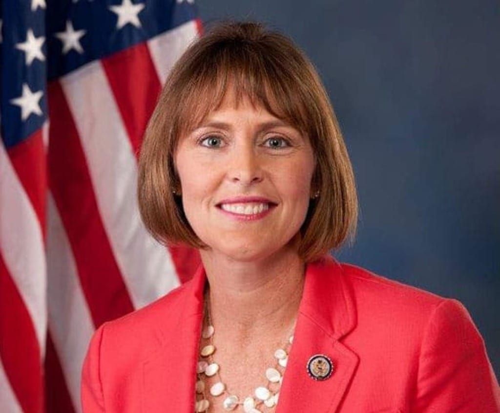 Energy Subcommittee Hearing Focuses on Affordability, Grid Modernization