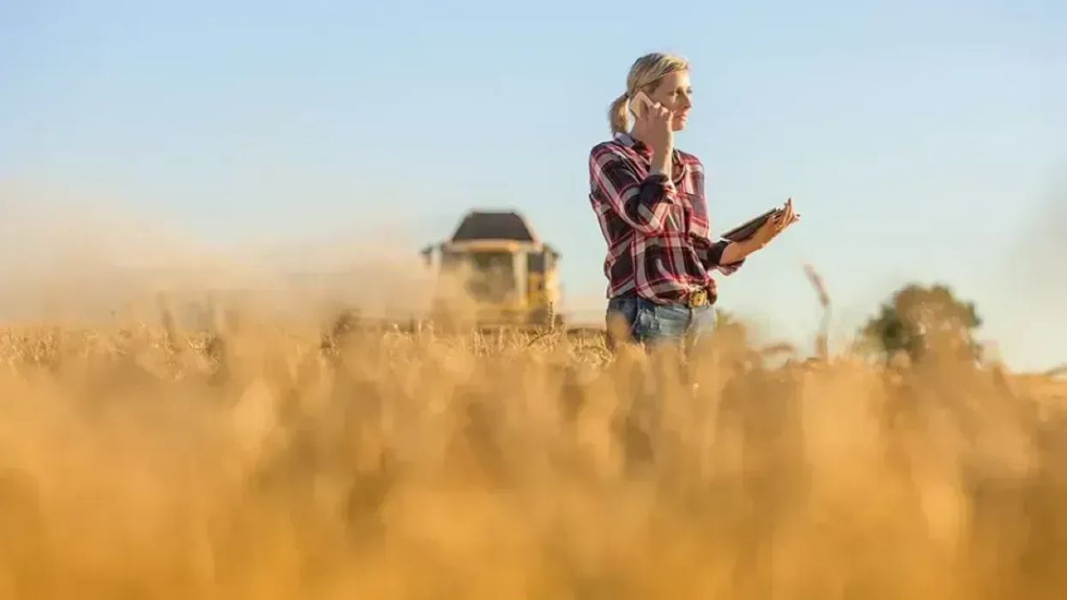 Bundling Emerges as Key Advantage in Rural Broadband Market