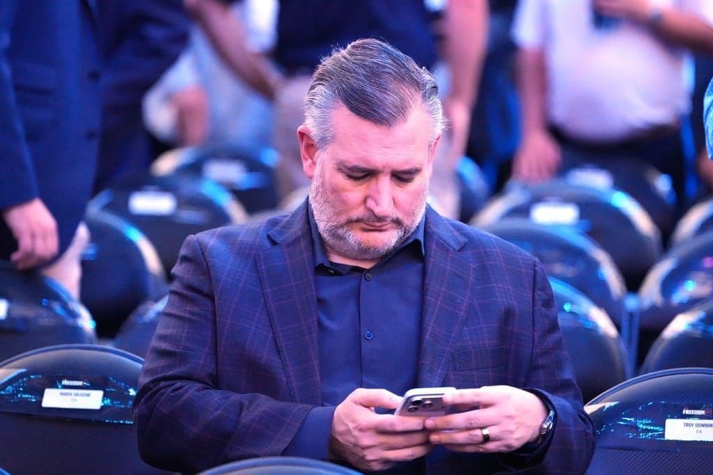 Cruz not Sold on T-Mobile-Grain Deal