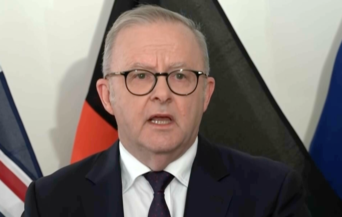 OpenAI's Breach of Australian Health Department Website Prompts Rebuke From Prime Minister