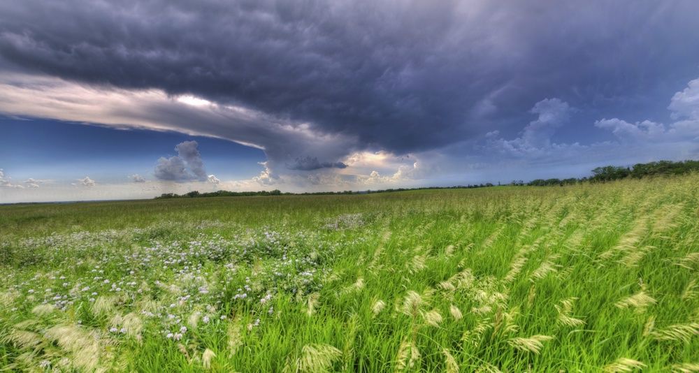 Despite Promising Gains in Connectivity, Report from Broadband Now Highlights the Extent of the Digital Divide