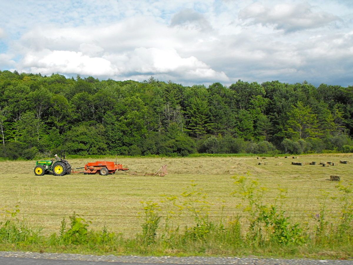 Coronavirus Roundup: Vermont Bridges Broadband, Facebook in Developing Countries, Slower Global Internet Speeds
