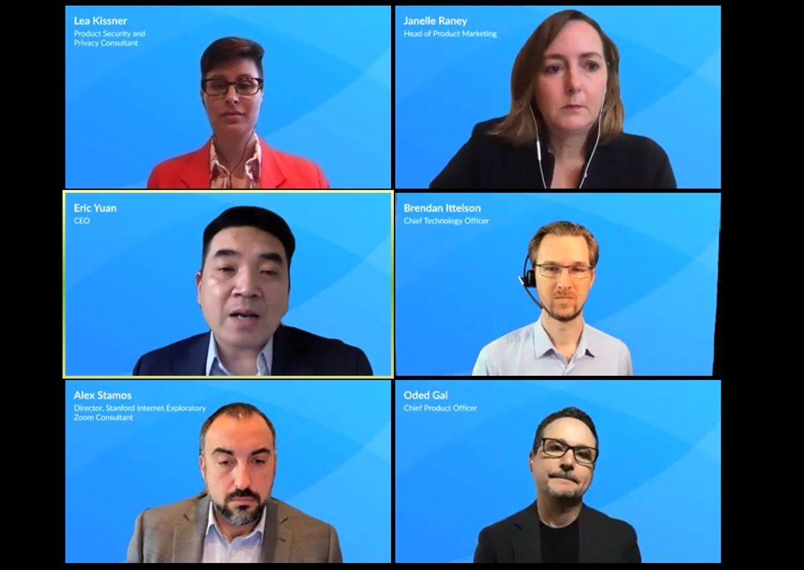 The Rise, Reign, and Self-Repair of Zoom