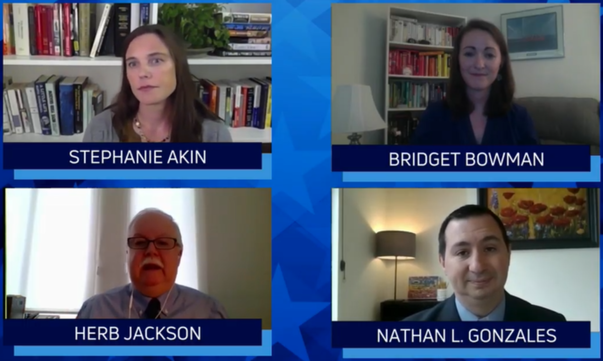 Election Analysts Predict Democrats Will Win Presidency, House and Senate, Based on Primary Data