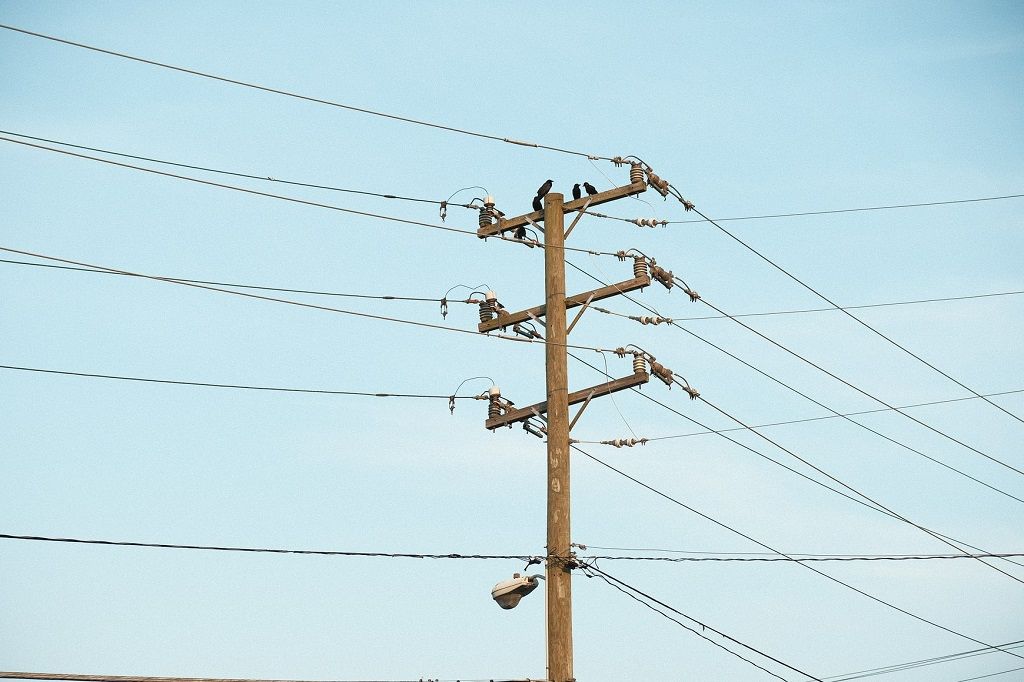 Pole Access Delays Cost Americans Millions a Month, Report Claims