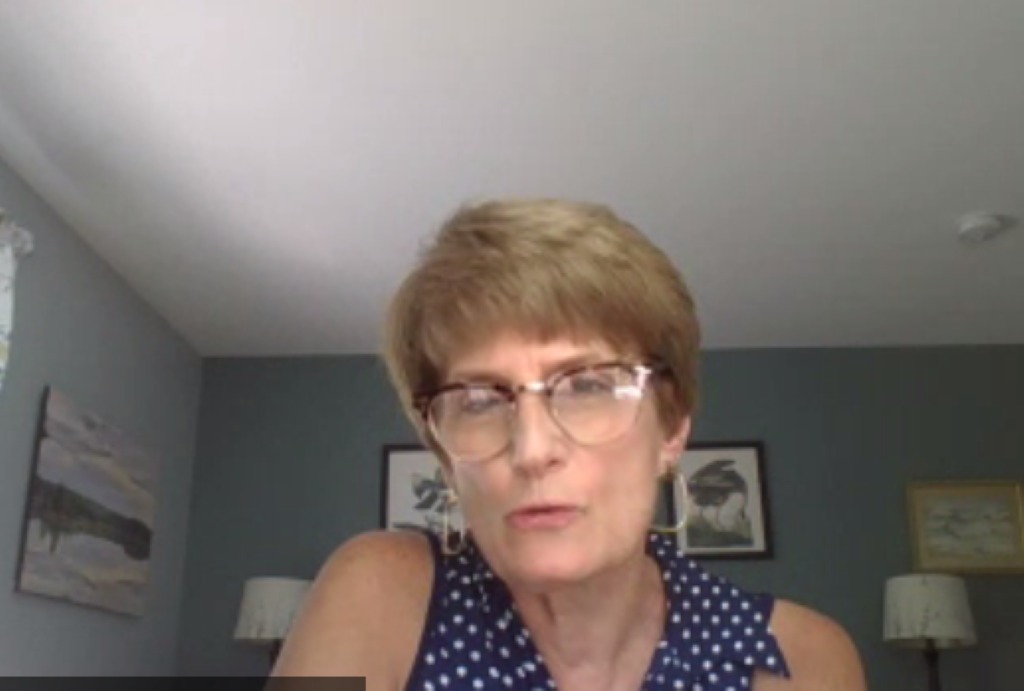 Federal Subsidies Will Help Maine Connect All Residents, Says Broadband Director