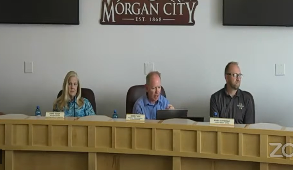 Morgan City Fiber Swap Model Catching On