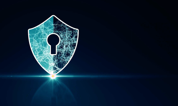 Tech and Telecom Groups Want Cyber Trust Mark Labeling Voluntary