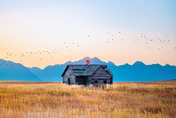 Montana