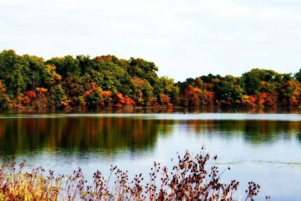 Surf Internet Expands Fiber In Partnership With Newton County, Indiana