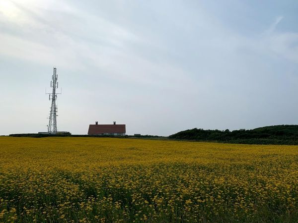 Rural Carriers Want Reconsideration of 5G Fund