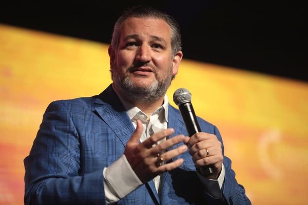 Cruz to Hold Commerce Hearing on FCC Auction Authority