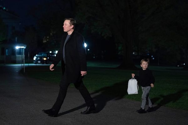 Musk Promises Less Time in Washington After Tesla Profit Plunges