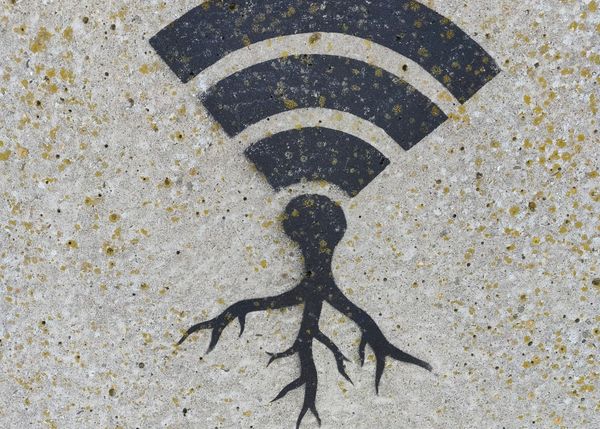 Push to Protect and Expand Wi-Fi Spectrum Intensifies as Usage Soars, Experts Say