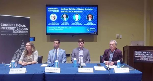 Experts Clash on Online Age Verification