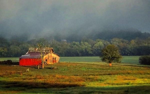 Amazon and SpaceX Undercut Competition in Tennessee BEAD Bidding