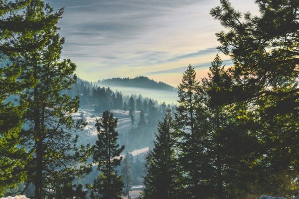 Oregon, Idaho Release BEAD Plans