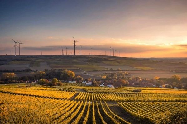 Where Fiber Doesn't Fit