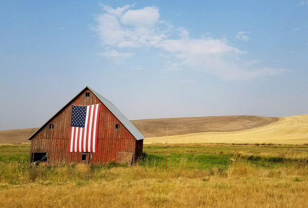States Deemphasize Local and Rural Focus After BEAD Restructuring, Report Finds