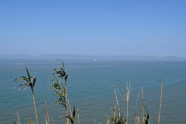 Taiwan Tests Backup Communications After Cable Break Near China