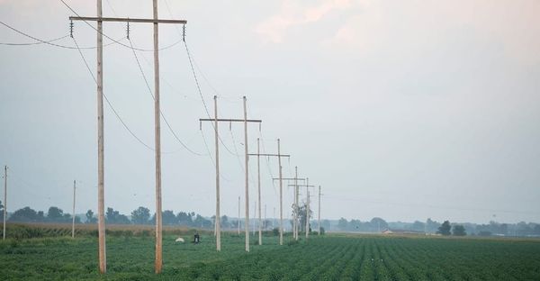 New York Rolls Out Pole-Attachment Complaint Portal