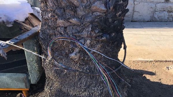 Verizon Offers $25K Reward to Catch Suspects Behind California Fiber Cuts