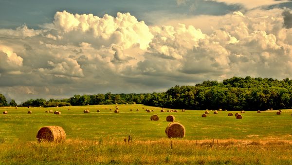Federal Communications Commission Announces $169 Million in Rural Broadband Funding