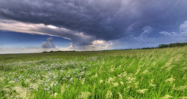 Despite Promising Gains in Connectivity, Report from Broadband Now Highlights the Extent of the Digital Divide