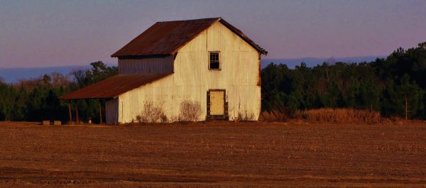 The Rural Digital Opportunity Fund Auction Should Favor Fiber Builders, Says Corning Analyst