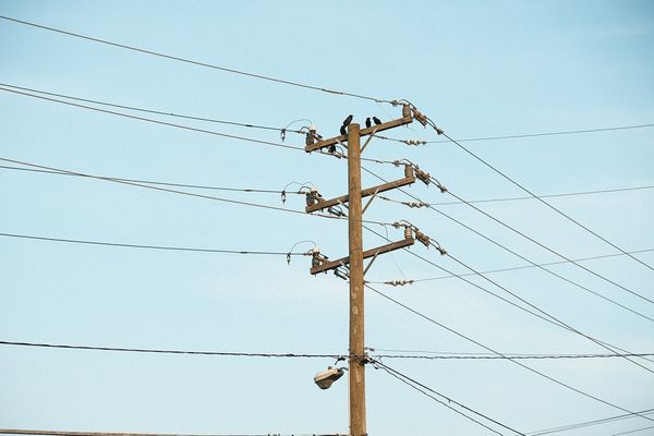 Pole Access Delays Cost Americans Millions a Month, Report Claims