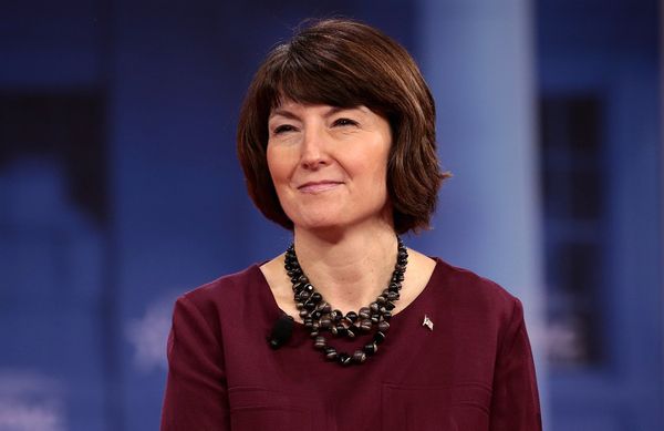 New Leadership and Priorities for Republican-Led Energy and Commerce Committee