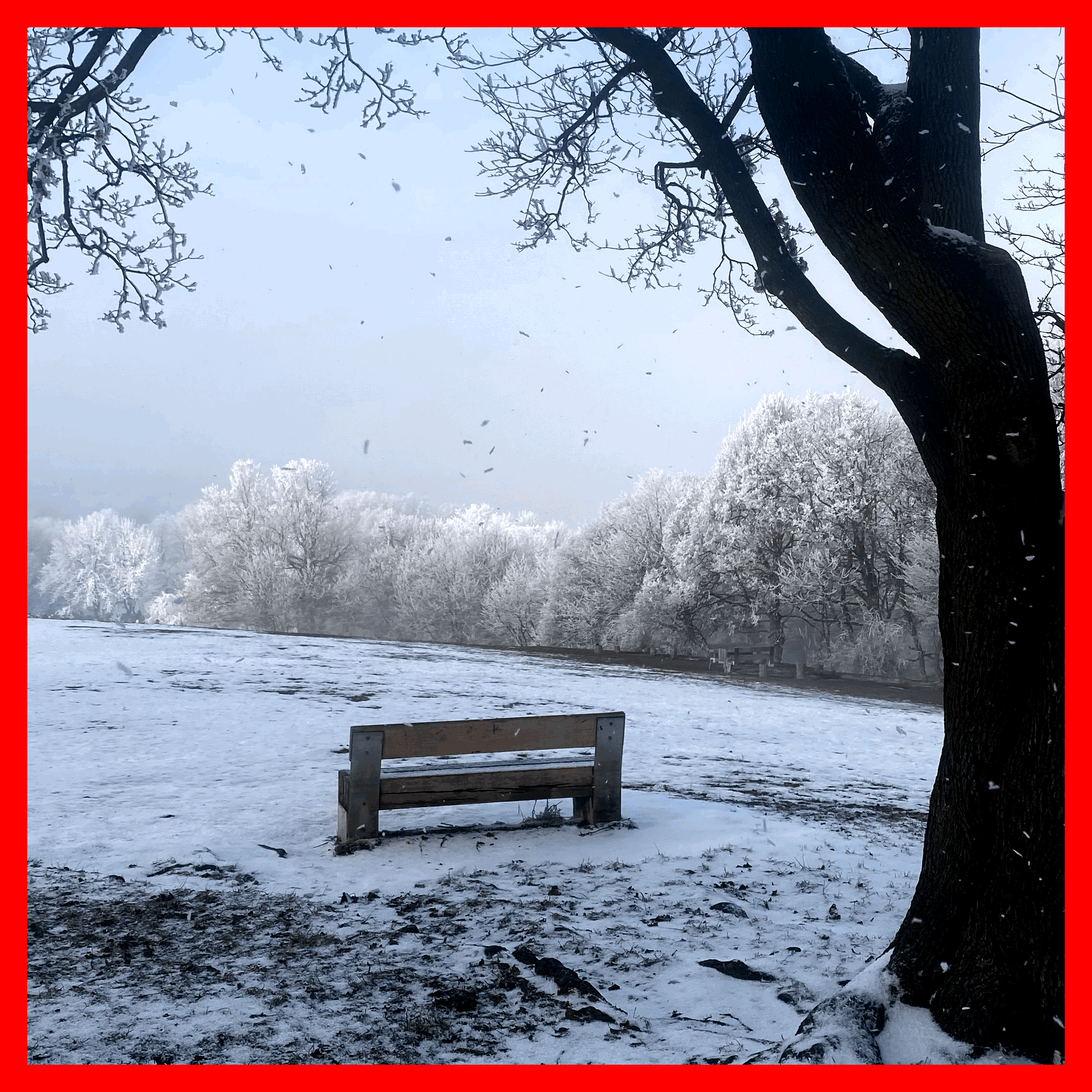 Élj, ahogy jól esik az sem baj, ha meg is lesik