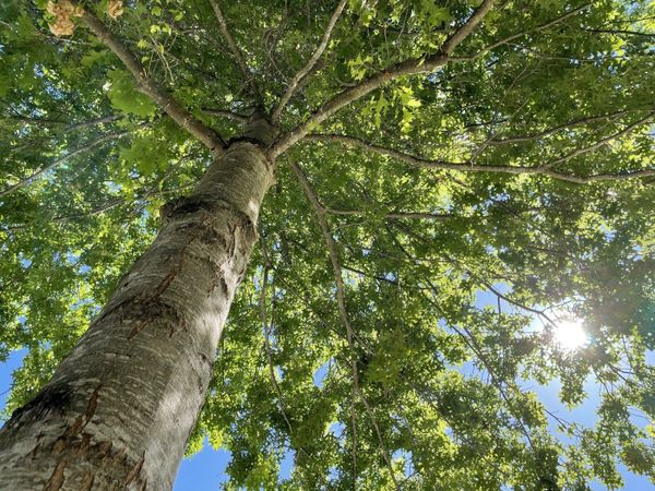 We are all designers