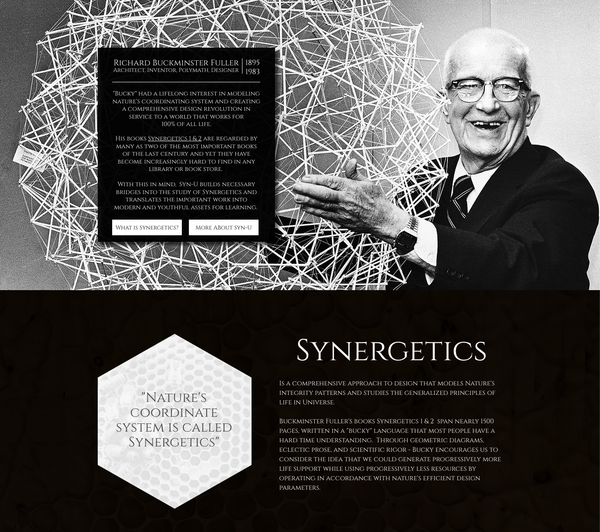 Synergetics University