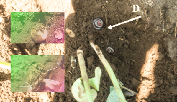 Large Language Models for Augmented Reading