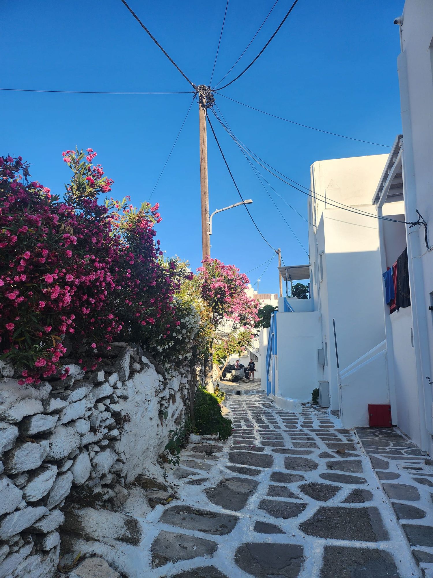Mykonos: l'isola del vento, del bianco e della luce