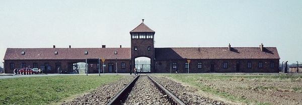 Il "Ritorno a Birkenau" di Ginette Kolinka: la semplicità dell'orrore
