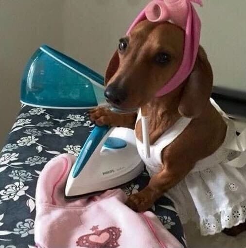 Ya es hora: Playlist