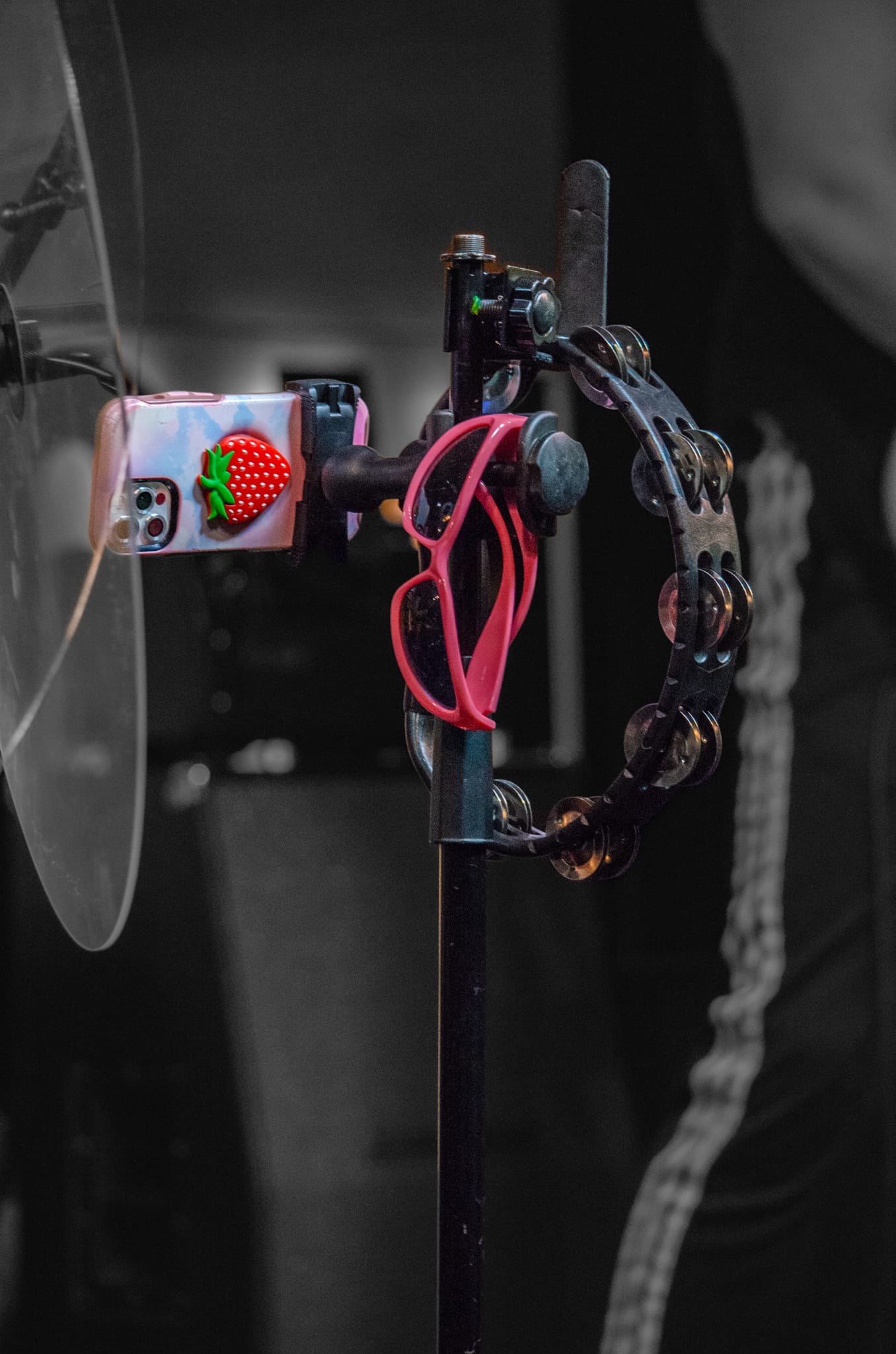 MONOWHALES: A Rocking Introduction to the US