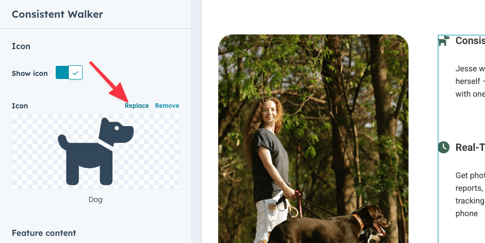 Click to replace icon