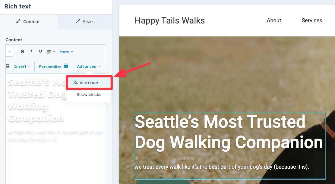 Customize title with CSS