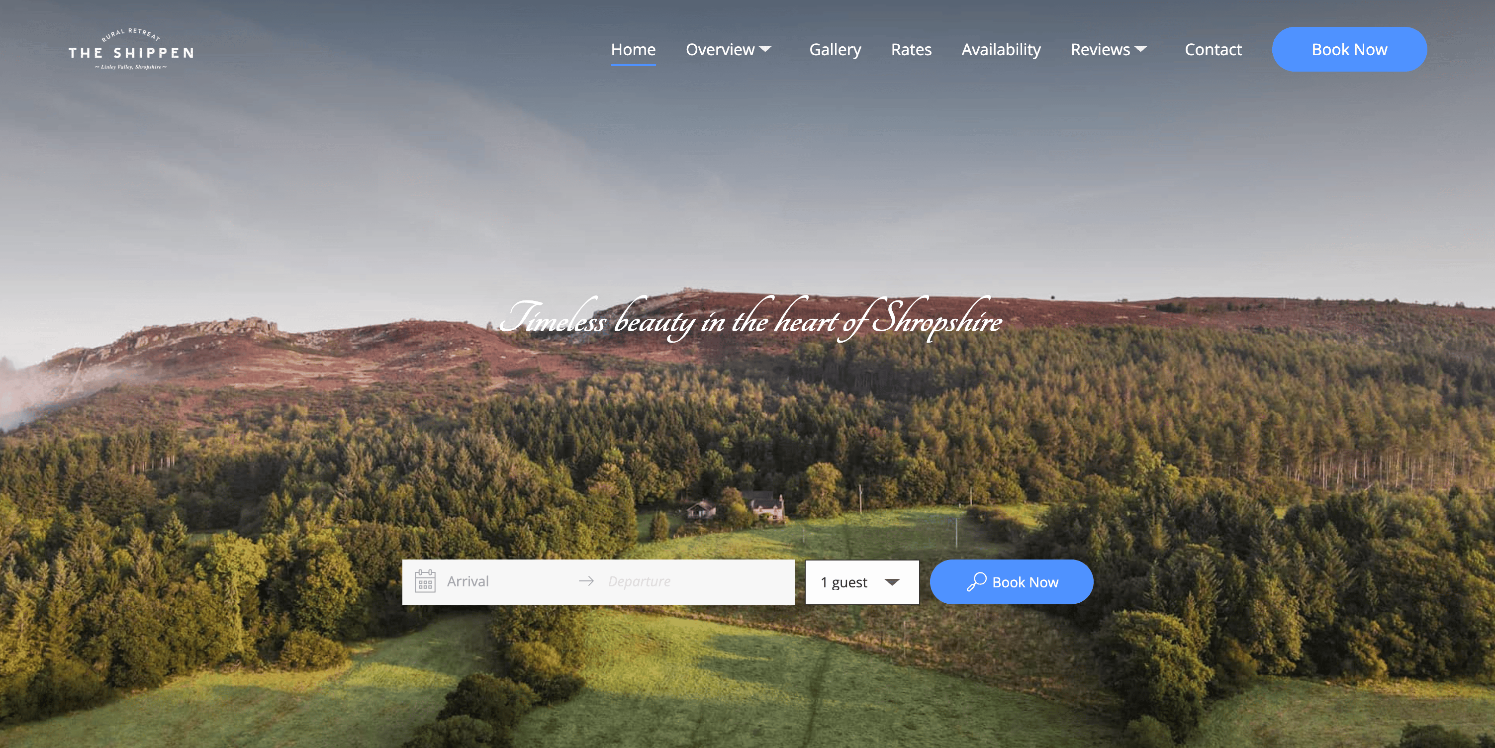 Resulting hero section of the site