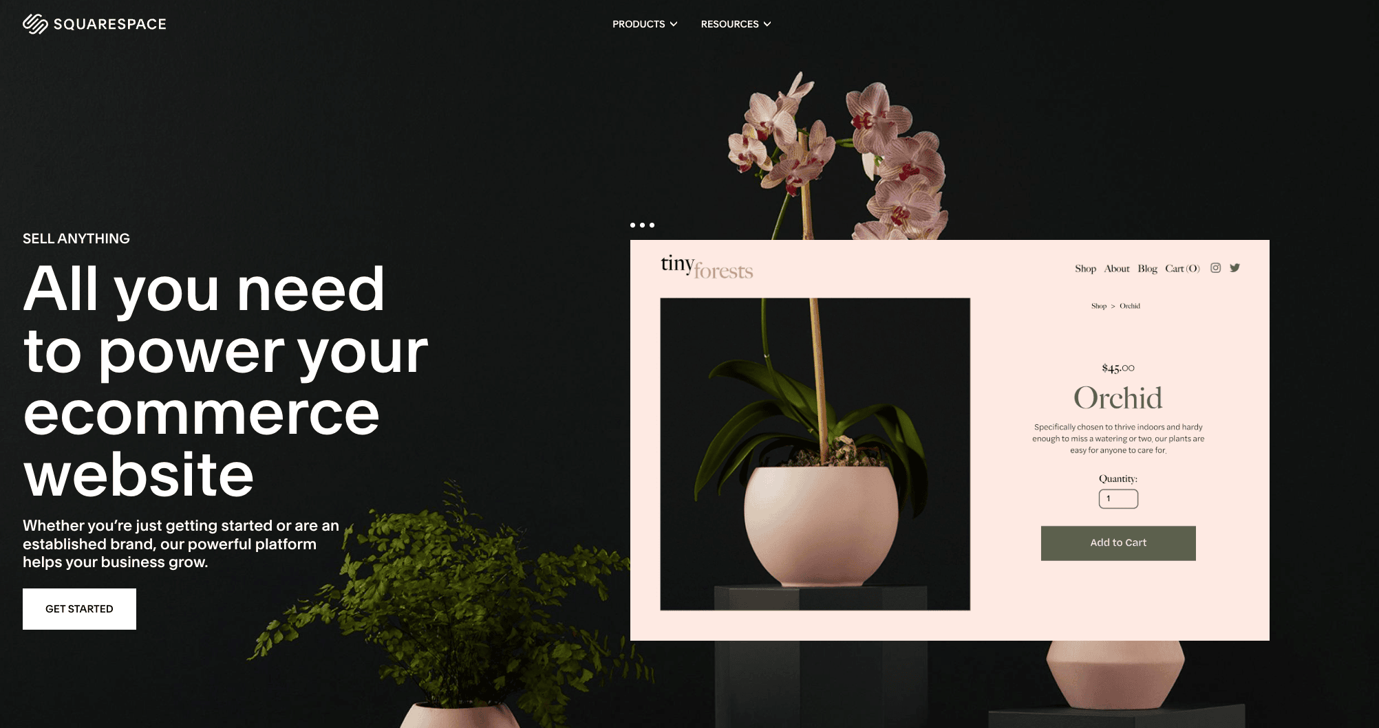 Squarespace home page