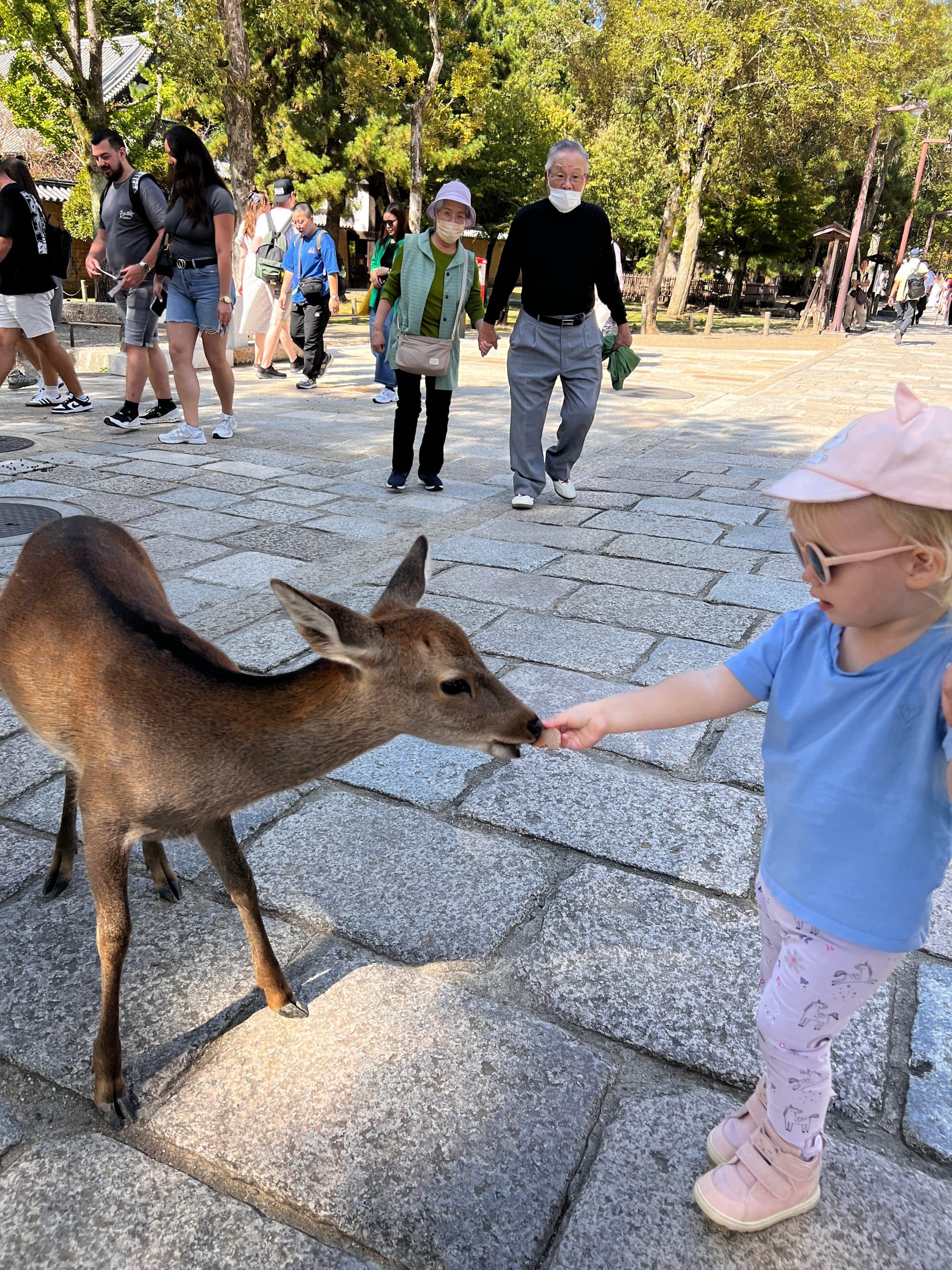Nara