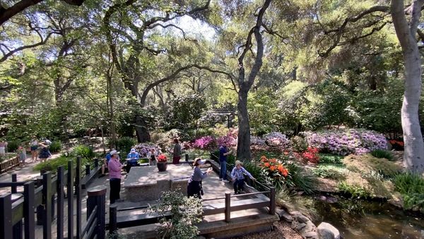 Day Trip: Cool places to take your aging parents — The Local Garden
