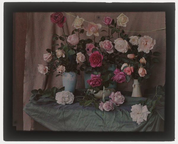 Roses for September: What I'm reading, watching, hearing, and loving this month