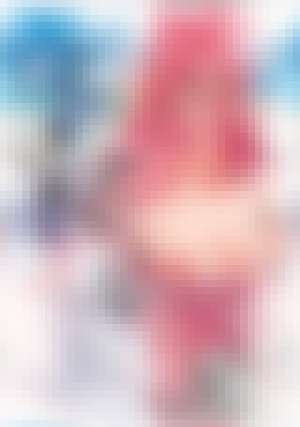 만화 『モンスター娘のいる日常』 20권의 표지를 모자이크로 가린 모습.