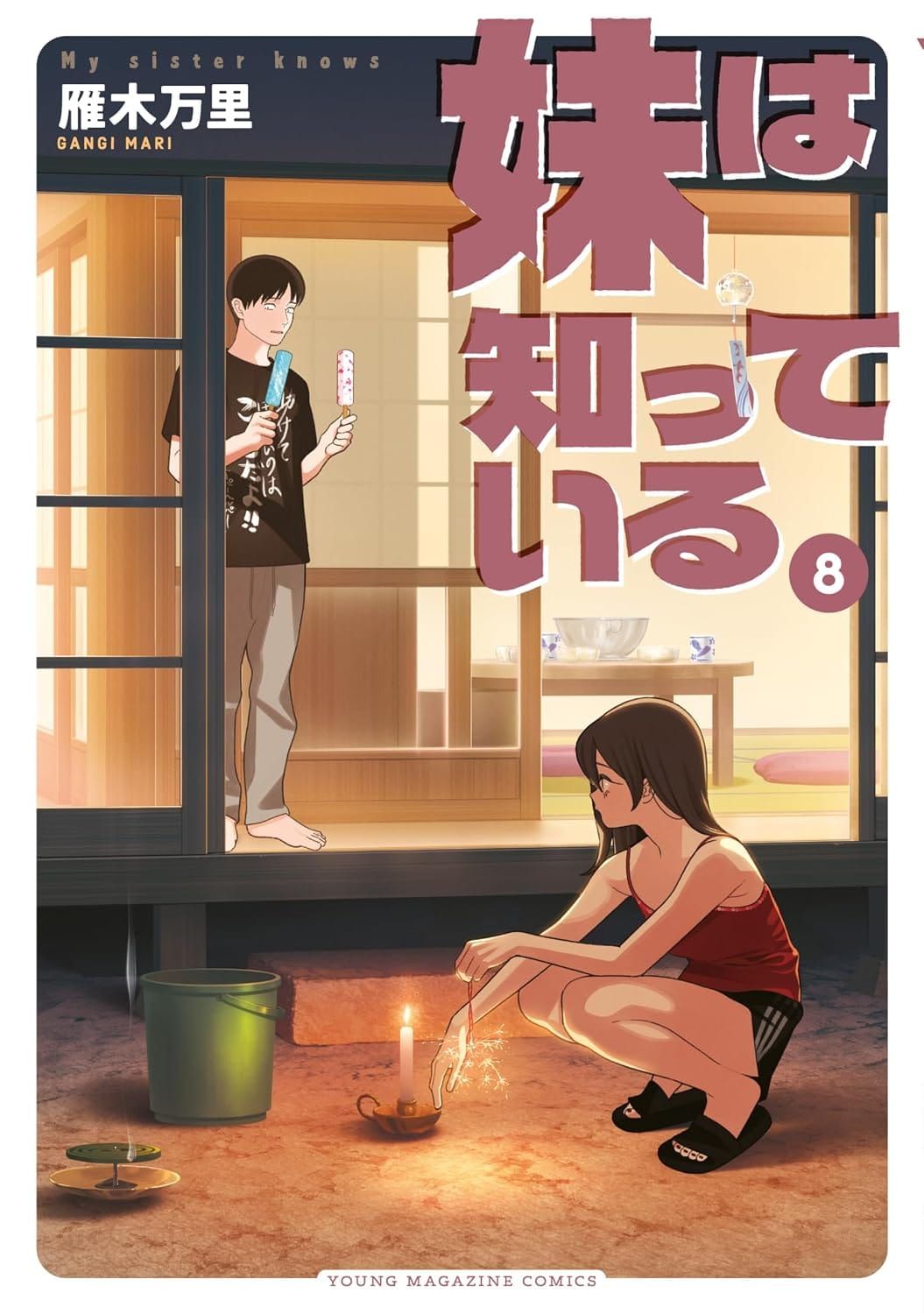 일본어 만화 『妹は知っている』 6권의 표지. 바닥에 쪼그려 앉아 불꽃놀이를 하는 여성과 마루에 아이스크림 바를 두 개 들고 있는 남성의 일러스트.