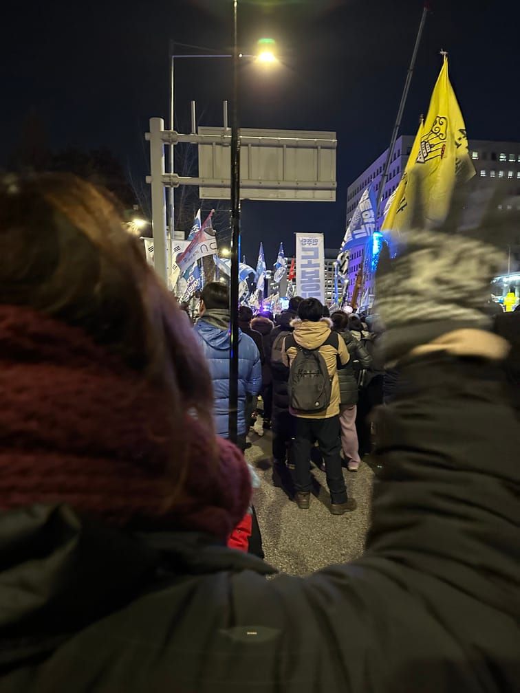 밤의 집회 사진. 집회에 참여한 사람들을 행렬 안에서, 뒤쪽에서 찍은 사진. 가장 가까이에는 두꺼운 옷과 외투, 목도리를 두른 갈색 긴 머리의 사람이 손을 흔들고 있다.