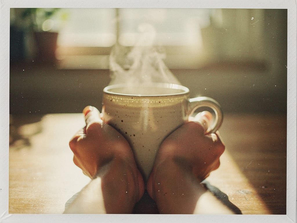 Hands holding a warm mug of tea in the sunlight.